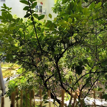 Athens Nice N Easy Apartment Esterno foto