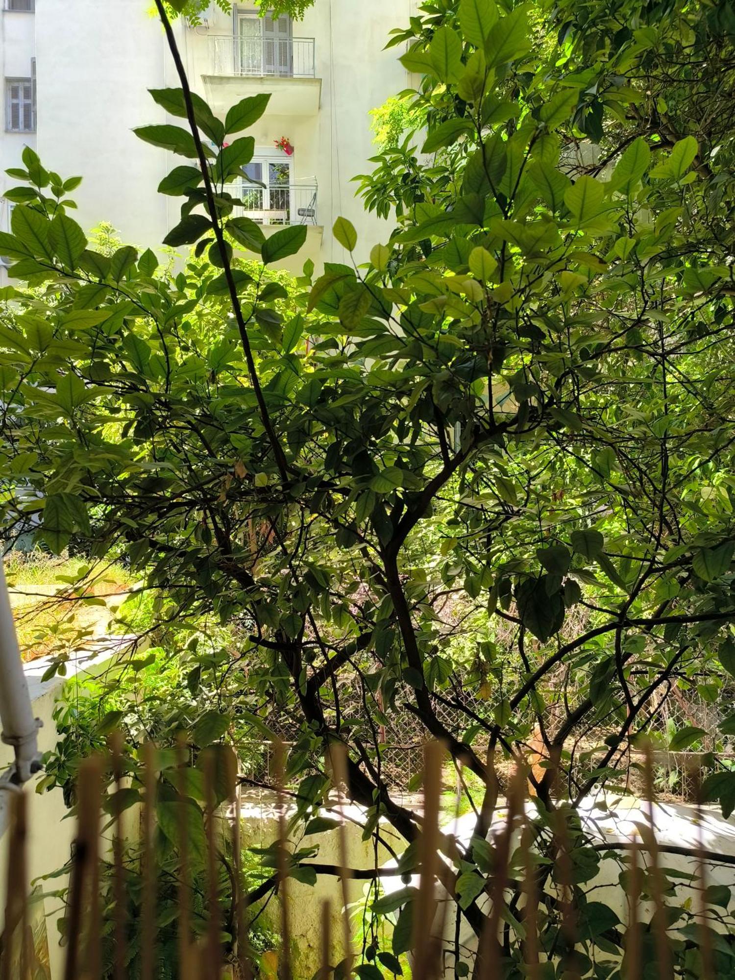 Athens Nice N Easy Apartment Esterno foto